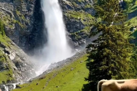 ���؄e��һ��Ĺ�˾����