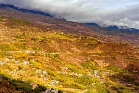 ���؄��⹫˾���Q��ȫ