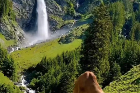 �·f���Є���Ĺ�˾����