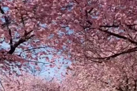 ��I(y��)�����W(w��ng)���M(f��i)ȡ����ȫ