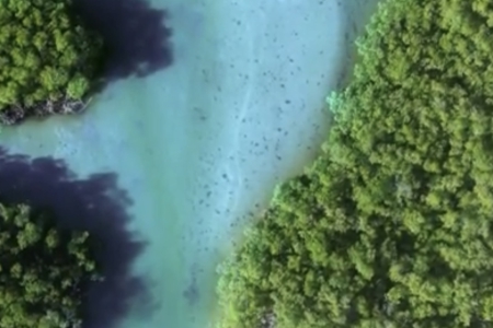 ���¹�˾ȡ���ִ�ȫ����