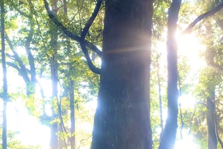 ���������Ĺ�˾���Q����