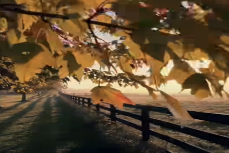 2000����˾����ؔ������