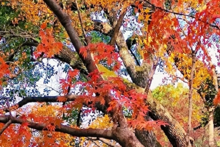 ��ˇ�� �Ŀ͗�����