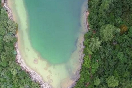 ��˾������Ԣ����