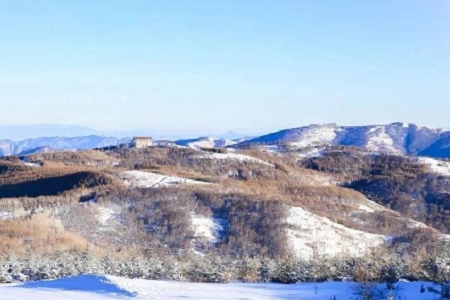 �� 혿ڵĹ�����˾����