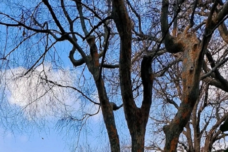 �r�еľW�j�Ƽ���˾����