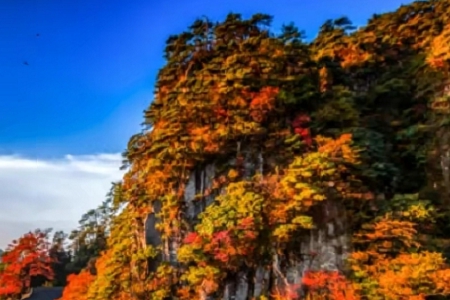 �� �ЃȺ��ľG����˾����