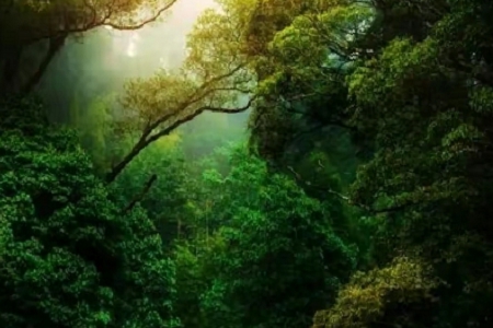 ��˾�����r(sh��)����Щע���c(di��n)