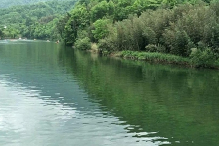 2023��ý��˾��������