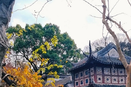 ��˾���Q(ch��ng)ע��(c��)������ԃ(x��n)