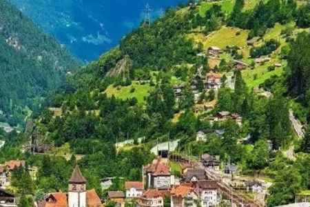 ؔ(c��i)����ԃ(x��n)��˾ȡ����ȫ