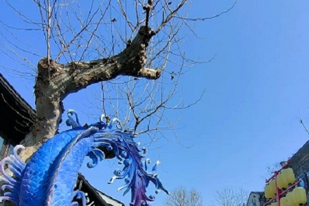 �OӋ��˾������ȫ����