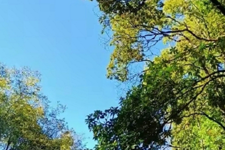 �m�����I�Ĺ�˾����