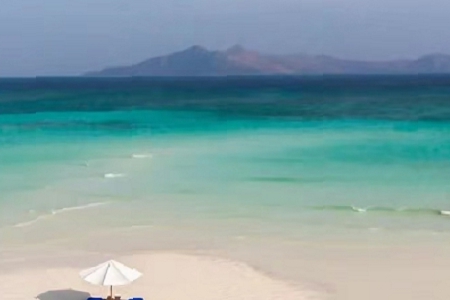 2023獨一無二的公司名