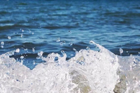 �\ݔ��˾���ֺ� ���