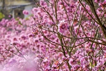 100�������³���˾����