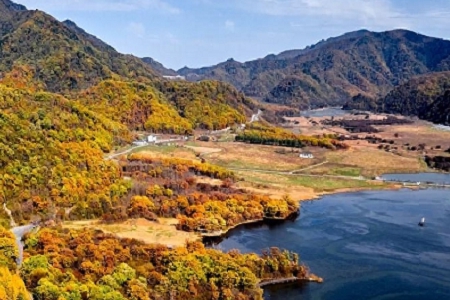 �o��˾ȡ���ִ�ȫ�� ���