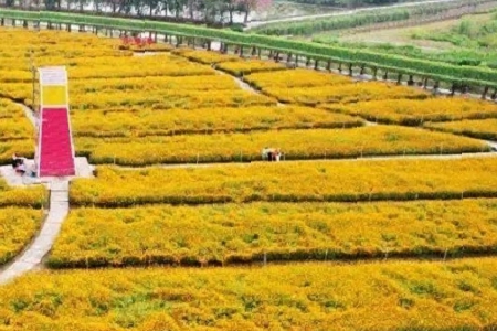 �� (t��ng)�Ĺ�˾���ִ�ȫ