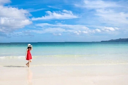 ��˾���Լ���������������