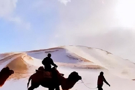 財稅類公司如何取名字