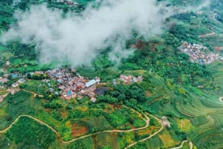 �ڄ�(w��)��˾��ʲô����