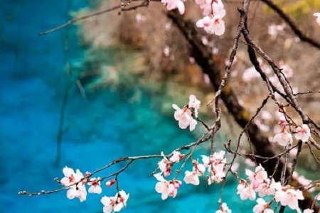 ��˾������ȫ�� �Ĺ�˾����