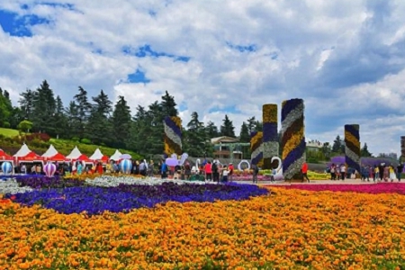 �� �����I��˾���Q