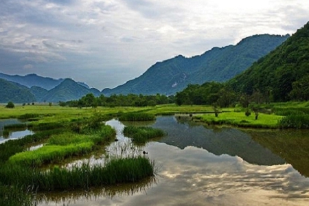 �m�Ͻ���������˾������