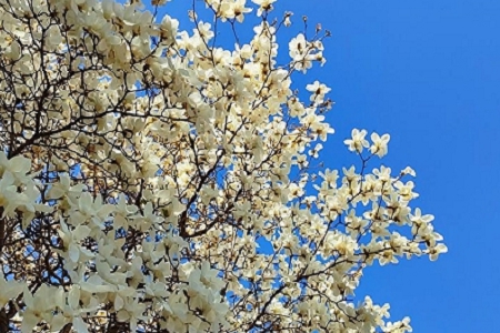 寓意八方來財的店名