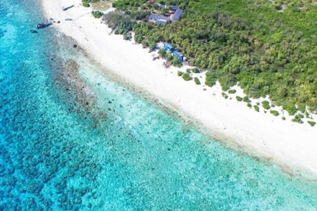 商標(biāo)起名網(wǎng)免費(fèi)取名大全