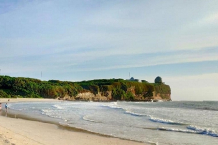 ����Ó�f�����Ĺ�˾����