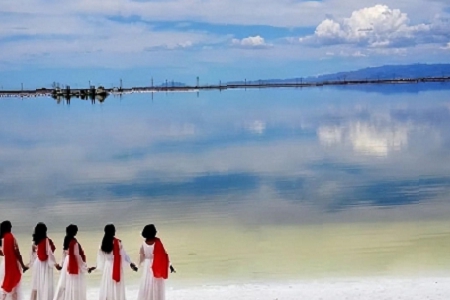 �³����Ĺ�˾���Q����Щ