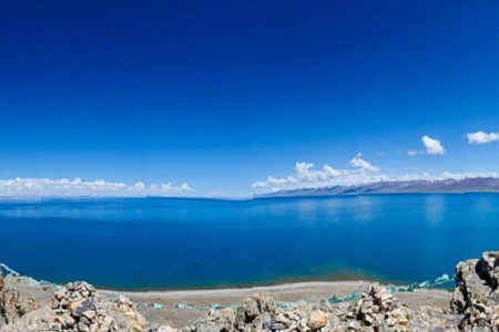 �׽�������Ĺ�˾���ִ�ȫ