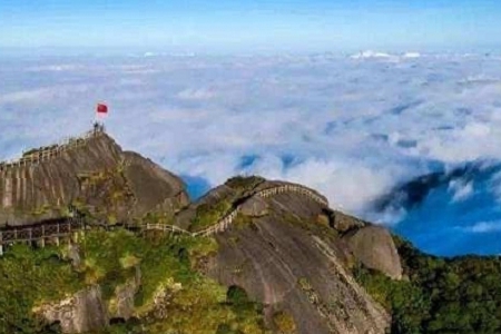 100�������⾳�Ĺ�˾����