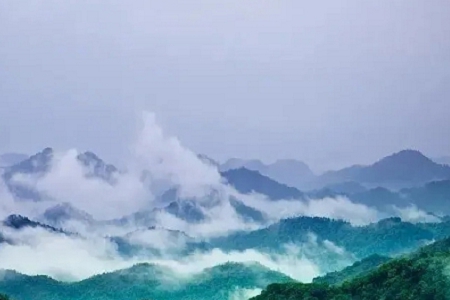 �����Ԣ��õĹ�˾���Q