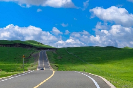 信息服務有限公司取名