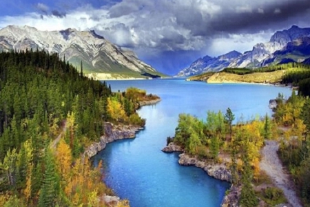 ��I��˾�������M������ȫ