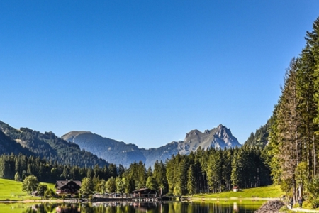 ��˾������������