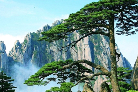 �o��˾�����ִ�ȫ���M(f��i)