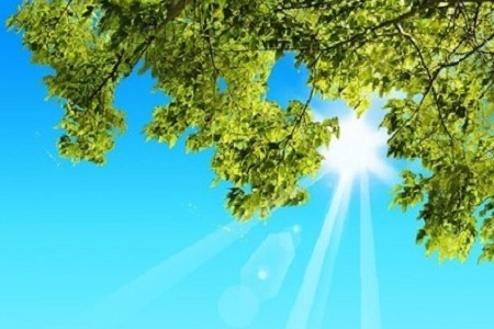 300��(g��)���邀(g��)�w�����ִ�ȫ