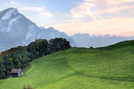 �� �и߼��еĹ�˾����