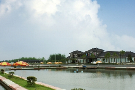 �������⾳�Ĺ�˾����