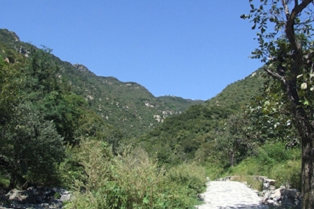 ����Ĺ�˾�������M(f��i)������ȫ