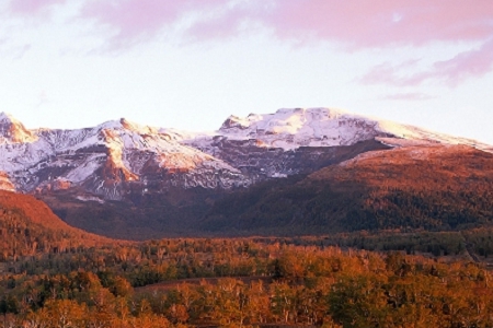 ����Ԛ�Ĺ�˾����