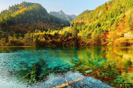 �b�޹�˾ȡ���߶˴��