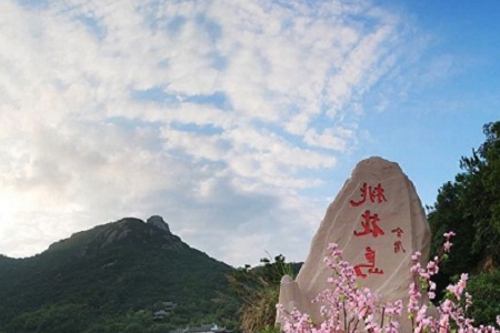 �����Ļ���Ϣ�Ĺ�˾����