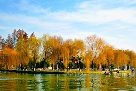 2023��o���Q��˾�����ִ�ȫ