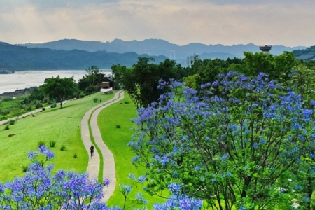 2023����νo��˾����