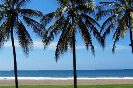 ��˾�������M������